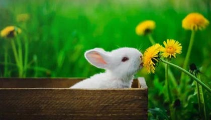 西甲综合：巴萨大胜西班牙人 9分优势领跑